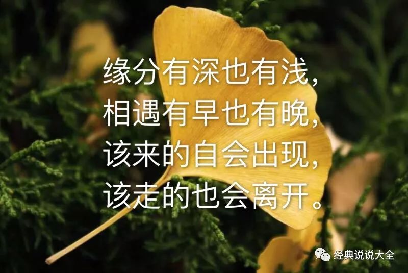 在这个快节奏的世界里，我们常常会迷失自我。面对压力、挫折或是成功时，我们需要一句句激励的话语来坚定内心。今天，我们就一起探索一些精辟的心情说说致自己的话。