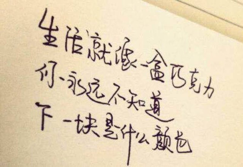 如何在忙碌的生活中找到片刻宁静？