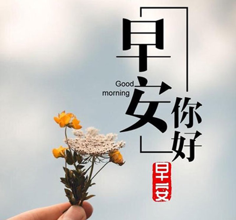 如何选择最合适的“说说”网站？